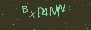 Validation image