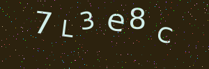 Validation image