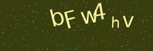 Validation image