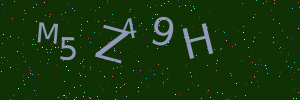 Validation image