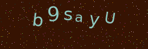 Validation image