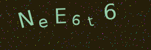 Validation image