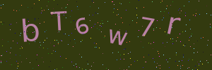 Validation image