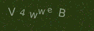 Validation image