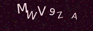 Validation image