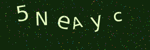 Validation image